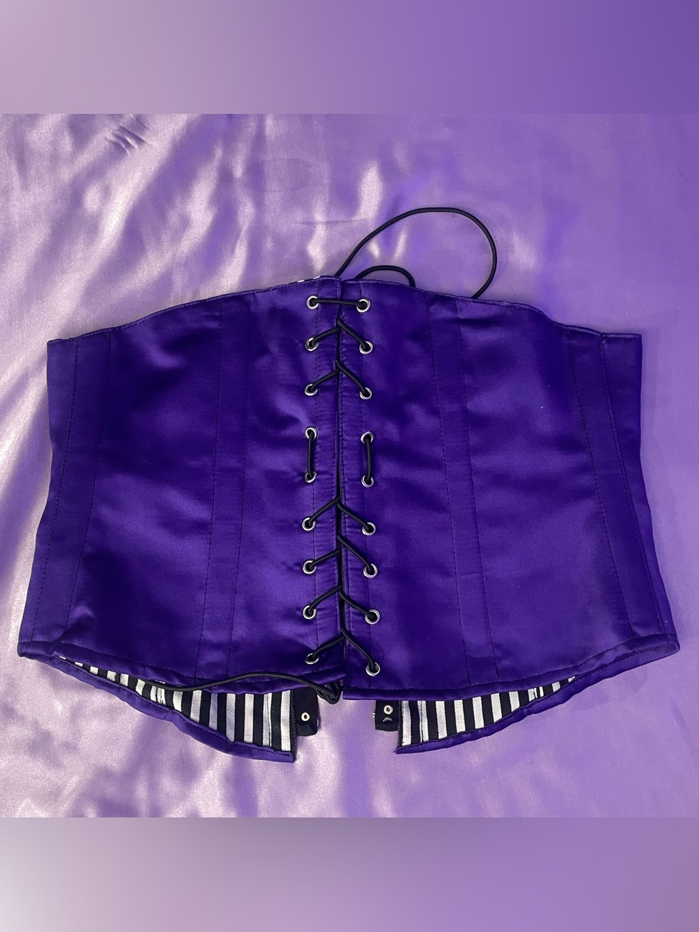 Gothic Deep Purple Satin Corset Belt Lace Up Waist Cinch Stripe Lining